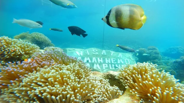 Surga Wisata Pulau Pahawang, Rasa Maldives - GenPI.co