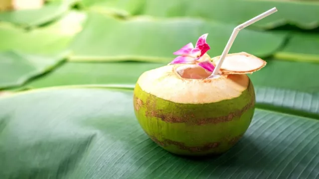 Khasiat Minum Air Kelapa dari Batoknya - GenPI.co