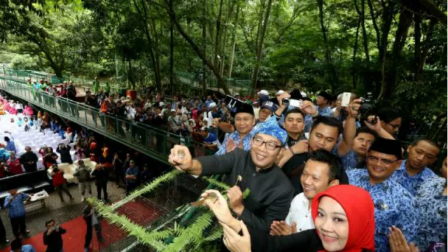 Inilah Wahana Jalan Hutan di Hutan Kota Bandung - GenPI.co