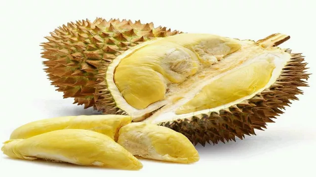 7 Jenis Durian Ini Berasal Dari Indonesia, Kamu Suka yang Mana? - GenPI.co
