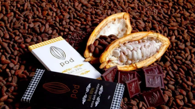 Indonesia Penghasil Cokelat Terbesar Ketiga di Dunia - GenPI.co