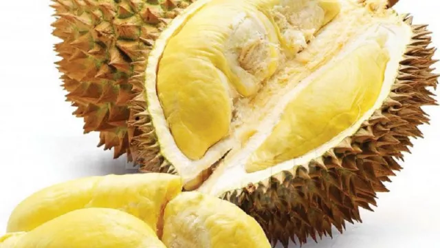 Manjakan Pencinta Durian, GenPI Rohul Gelar Pasar Seribu Durian - GenPI.co