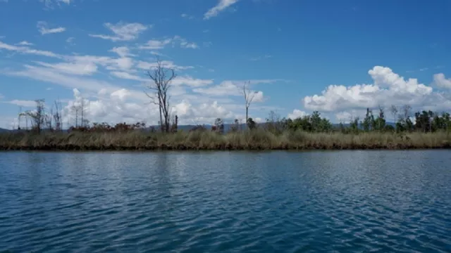 Danau Mahalona, Danau Tua yang Dipenuhi Hewan Cantik - GenPI.co