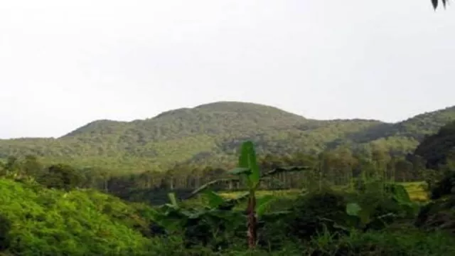Menguak Fakta Tersembunyi Gunung Tampomas - GenPI.co