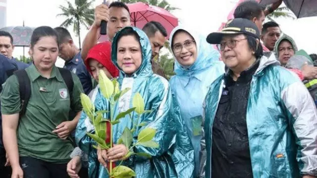 Iriana Jokowi Cetuskan Gerakan Tanam Mangrove, Ternyata Ini Manfaatnya - GenPI.co