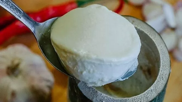Dadih, Yoghurt Tradisional dari Minangkabau - GenPI.co