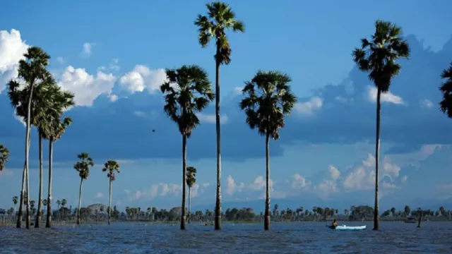 Ragam Atraksi di Danau Tempe - GenPI.co