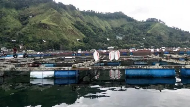 Walhi: Keramba Jaring Apung Mencemari Danau Toba - GenPI.co
