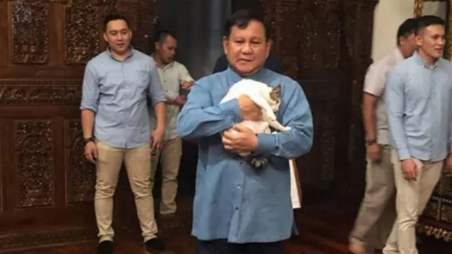 Ini Dia Si Bobby Kucing Prabowo, Apa Manfaat Pelihara Kucing? - GenPI.co