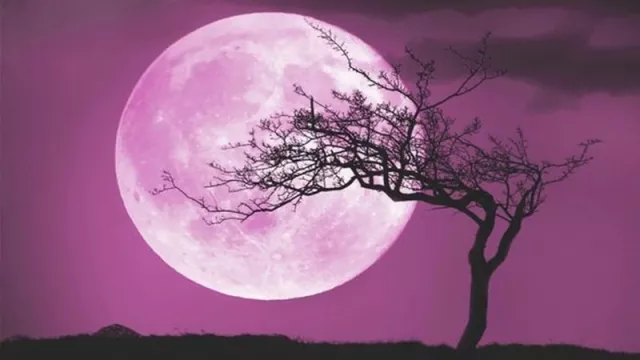 Eksotisme Fenomena Pink Moon, Catat Tanggalnya! - GenPI.co