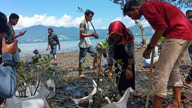 Peringati Hari Bumi, 2.000 Bibit Mangrove Ditanam Di Palu - GenPI.co