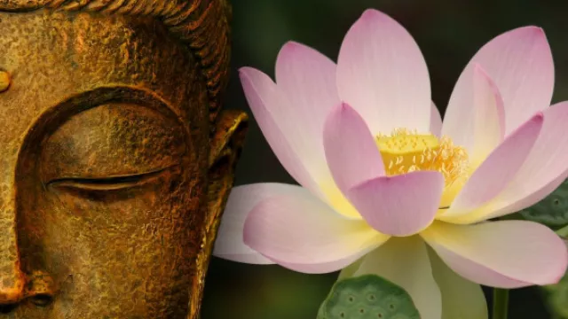 Hari Raya Waisak, Makna Bunga Teratai yang Ada di Simbol Buddha - GenPI.co