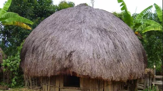 Perda Kampung Adat Terus Digalakkan di Papua - GenPI.co