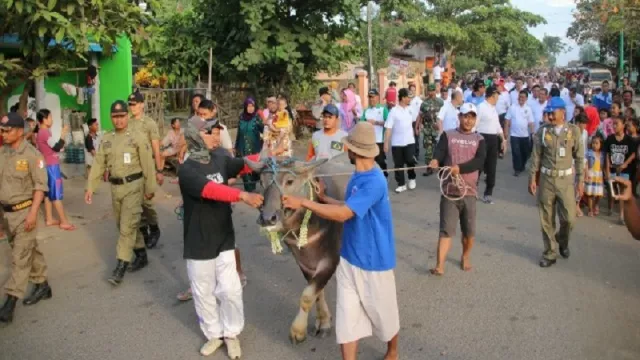 Larung Kepala Kerbau Tandai Lebaran Ketupat di Jepara - GenPI.co