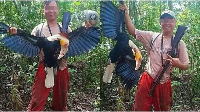Viral, Seorang Pria Pamer Burung Rangkong Dikecam Warganet - GenPI.co