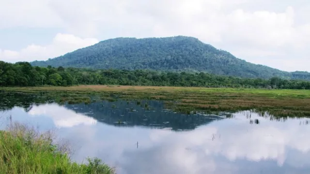 Jadi Pemandu Wisata Alam Trekking, Kamu Wajib Mampu Lakukan Ini! - GenPI.co