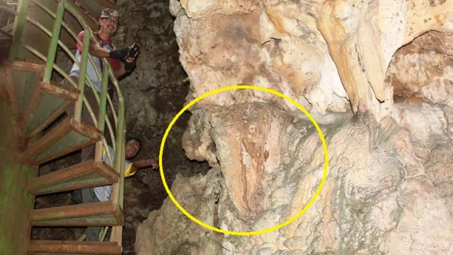 Batu Mirip Kepala Gajah Bikin Heboh Purworejo, Fosil Mammoth? - GenPI.co