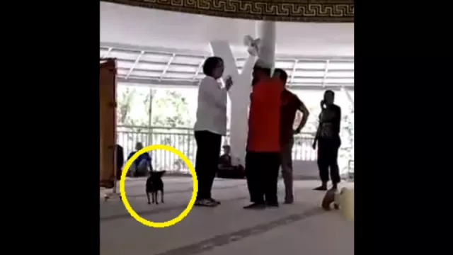 Video Viral, Ibu Ini Lepaskan Anjing di Dalam Masjid Sambil Marah - GenPI.co