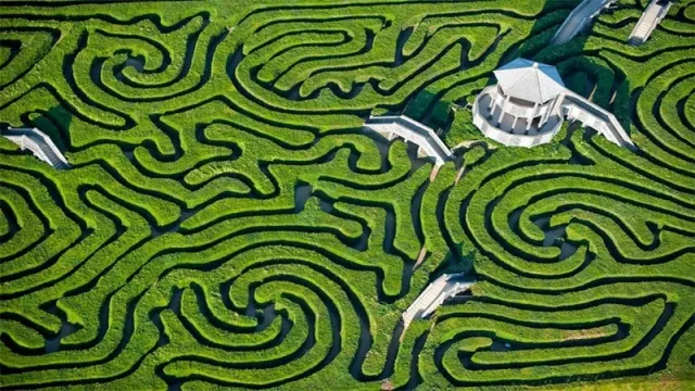 Serasa Main di Maze Runner, Ini Taman Labirin Terumit di Dunia - GenPI.co