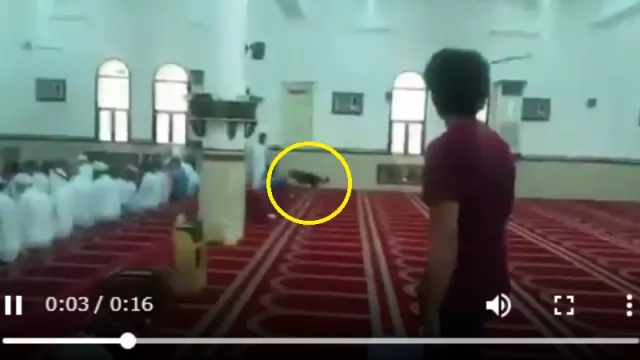 Anjing Masuk Masjid Terjadi di Arab, Reaksi Jamaah Mengejutkan! - GenPI.co
