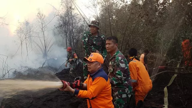 Kebakaran Hutan Melahap 20 Hektare Lahan di PALI Sumsel - GenPI.co