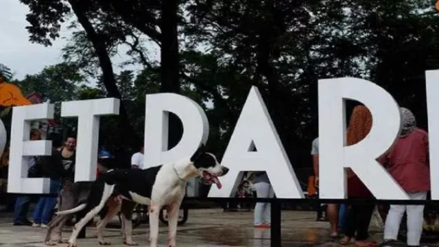 Pet Park Bandung Tak Terawat, Warga Mengeluh - GenPI.co