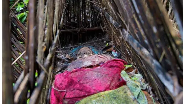 Pemakaman Tak Biasa Desa Trunyan, Jasad Dibiarkan di Bawah Pohon - GenPI.co