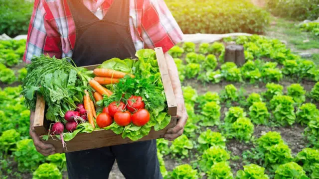 Bebas Pestisida, Ini 5 Keutamaan Makanan Organik Untuk Kesehatan - GenPI.co