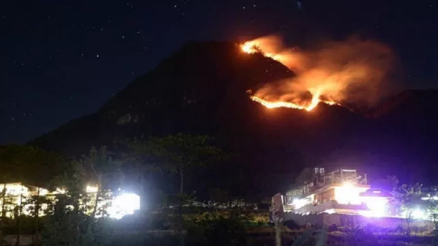 Gunung Panderman Terbakar, Begini Kiat Buat Pendaki - GenPI.co