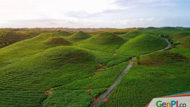 Ini Bukit Teletubies yang Ada di Yogyakarta - GenPI.co