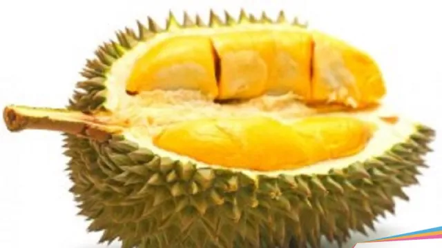 Ingin Makan Durian Tanpa Pusing akan Baunya, Ini Caranya! - GenPI.co