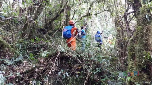 Pendaki yang Tersesat di Gunung Bawakaraeng Belum Ditemukan - GenPI.co