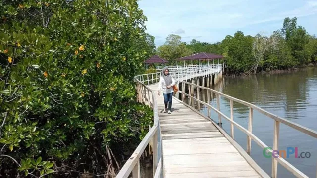 Tracking Mangrove Yang Memikat Di Gorontalo Utara - GenPI.co