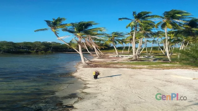 Serunya Berlibur di Hutan Mangrove Teluk Sebong - GenPI.co