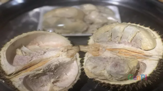 Ke Pandeglang, Makan Durian Jatoh Yuk! - GenPI.co