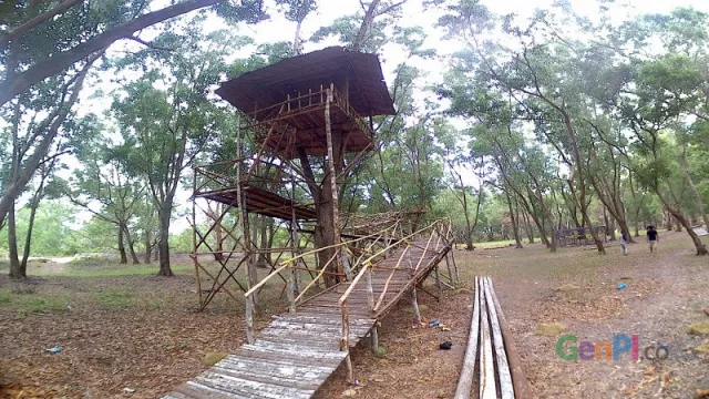 Wisata Rumah Pohon Kampung Raja Beri Suasana Baru di Bintan - GenPI.co
