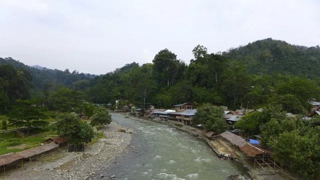 Bukit Lawang, Wisata Alam dan Safari yang Mendunia - GenPI.co