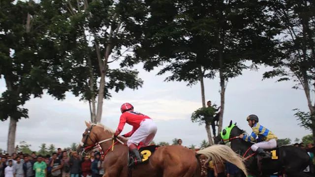 Riuhnya Balap Kuda, Roda Sapi dan Gerobak Kuda Di Gorontalo - GenPI.co