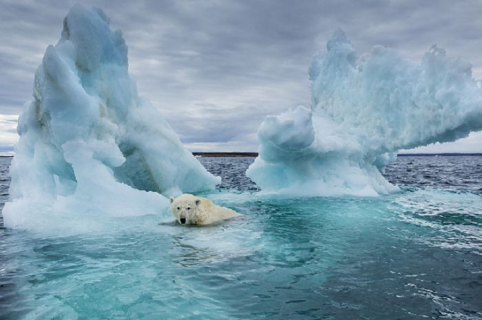 Bad News for the World, the Earth Is Under Great Danger