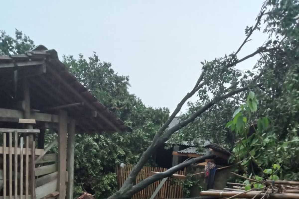 Rumah Rusak Akibat Angin Puting Beliung Di Lampung Timur Genpi Co