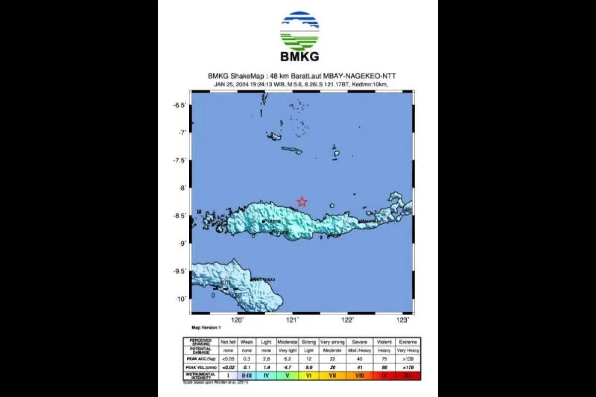 Gempa Magnitudo Guncang Laut Flores Bmkg Ungkap Penyebabnya Genpi Co