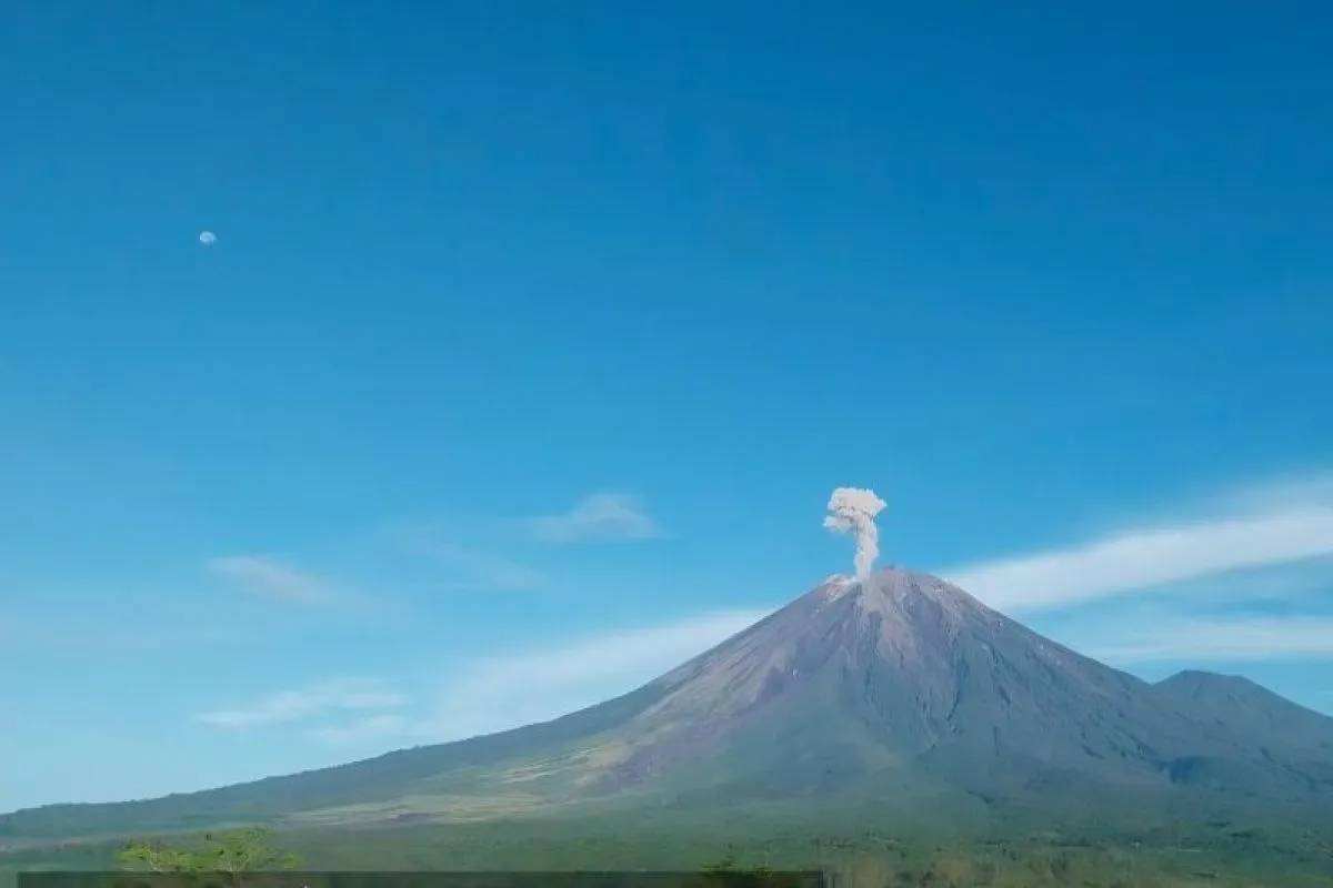 Gunung Semeru Meletus, Muntahkan Abu Vulkanik Setinggi 900 Meter - GenPI.co