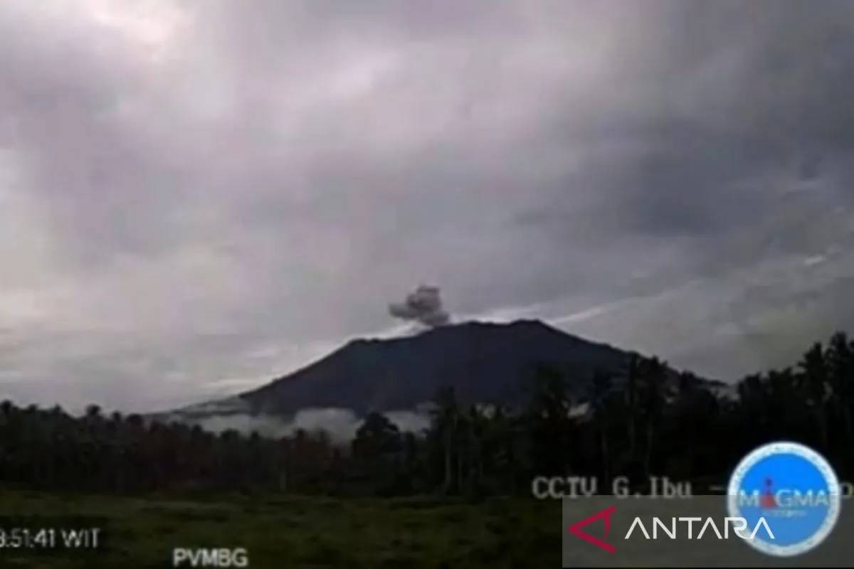 Gunung Ibu Erupsi 2 Kali, Muntahkan Abu Vulkanik Setinggi 500 Meter ...