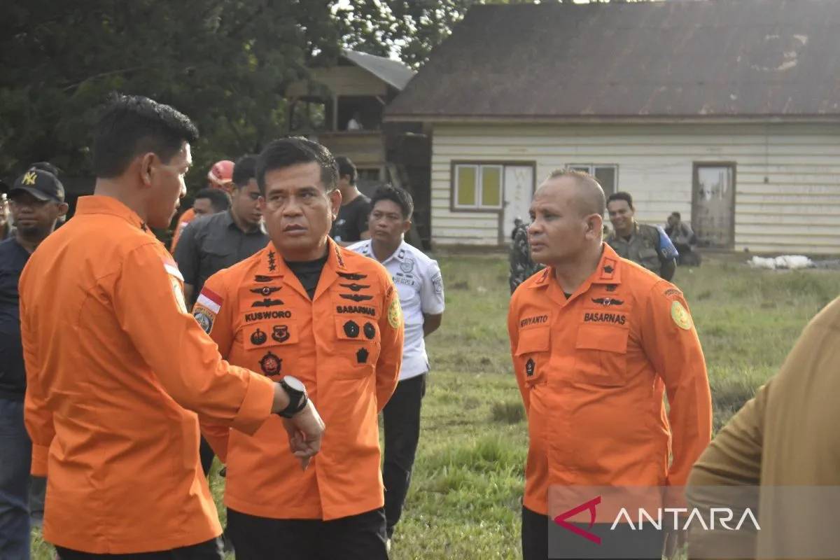 Longsor Tambang Emas Di Gorontalo, Korban Meninggal Jadi 23 Orang ...