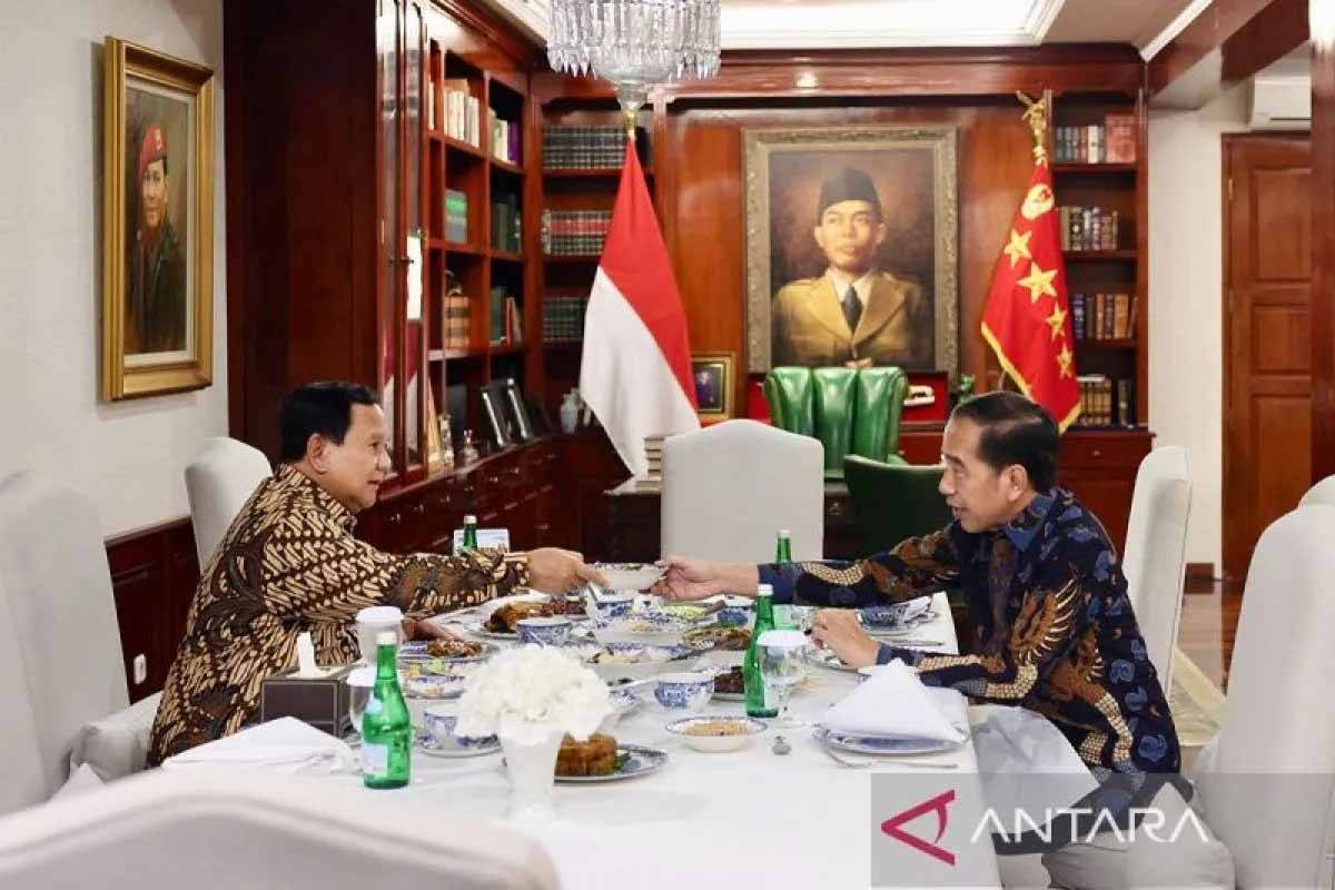 Dasco Sebut Partai Gerindra Belum Siapkan Posisi untuk Jokowi