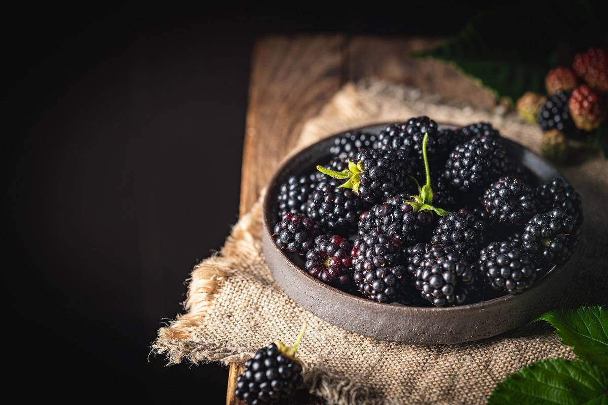 Cara Mudah Menyantap Blackberry, Buah Penuh Nutrisi