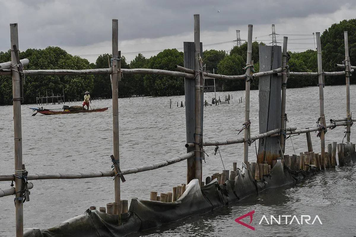 Skandal Pagar Laut di Bekasi, Sertifikat Tanah Diduga Digadaikan ke Bank