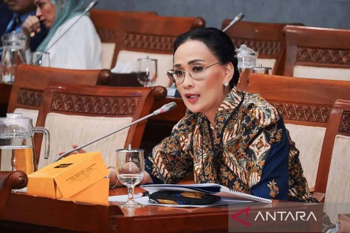 DPR RI Dorong TNI Pakai Drone Jarak Jauh Tangani KKB di Papua