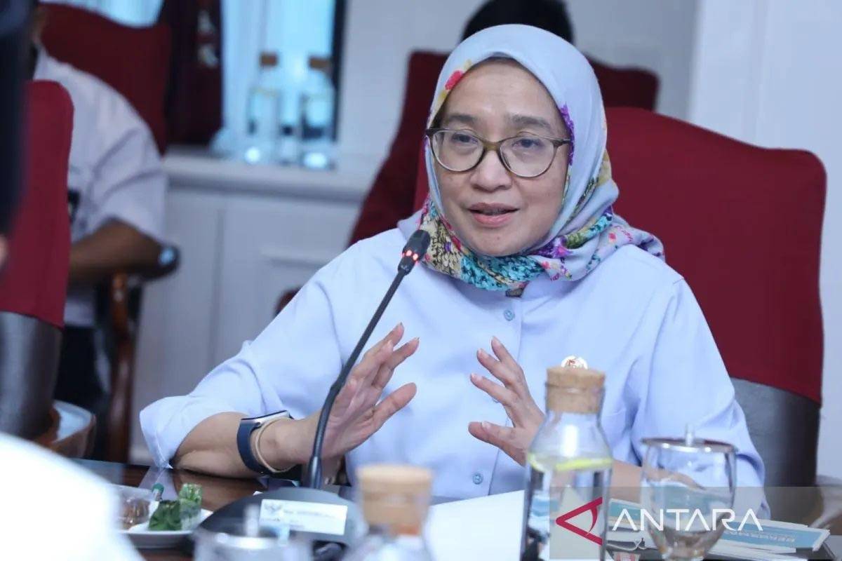 Pengunduran Diri 714 CPNS, Rini Widyantini: Alasan Lokasi Penempatan
