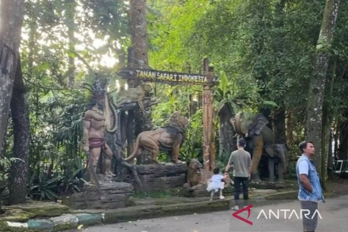 Taman Safari Indonesia Bantah Terkait Dugaan Pelanggaran HAM Mantan Pemain Sirkus